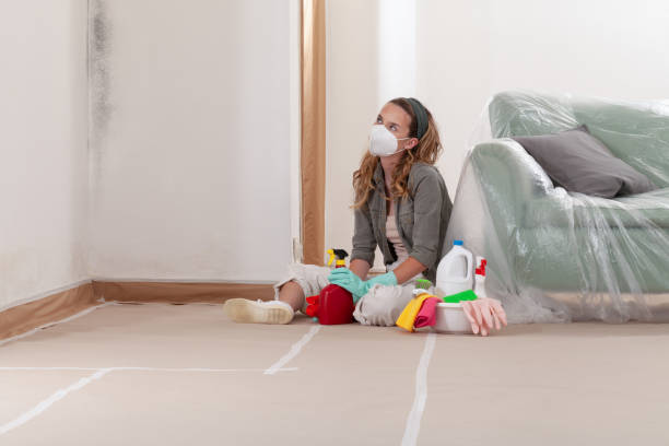 Reliable Black Mold Removal contractor in Bridgeport, WA by WQB Mold Removal